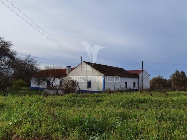 Quinta venda em Santarém