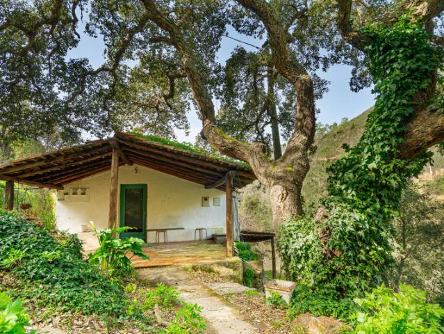 Quinta venda em Monchique, Faro