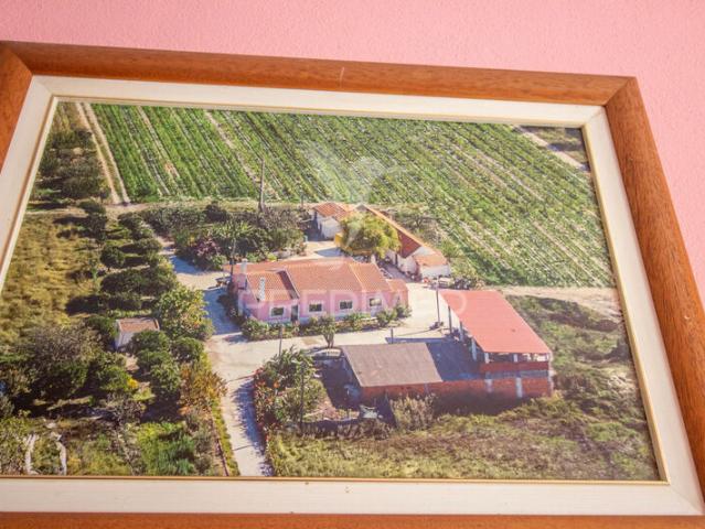 Quinta venda em Palmela, Setúbal
