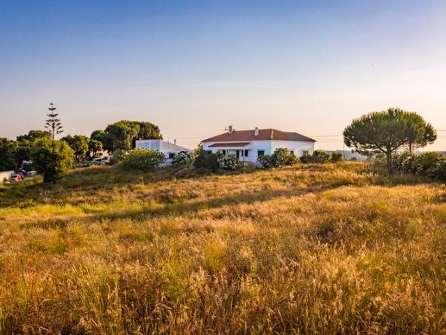 Quinta venda em Cartaxo, Santarém