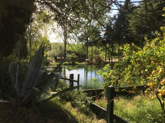 Quinta venda em Santarém