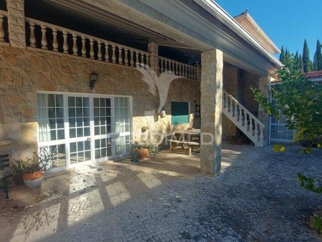 Quinta venda em Santarém