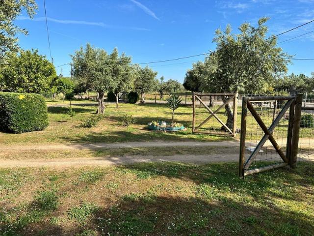 Quinta venda em Abrantes, Santarém