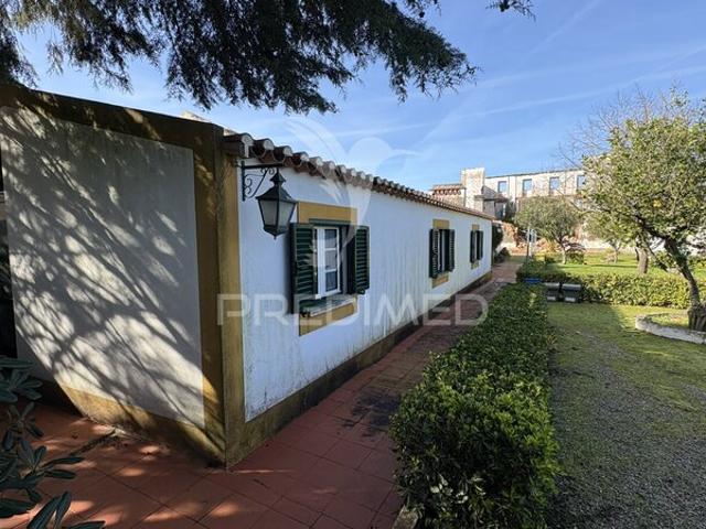 Quinta venda em Constância, Santarém