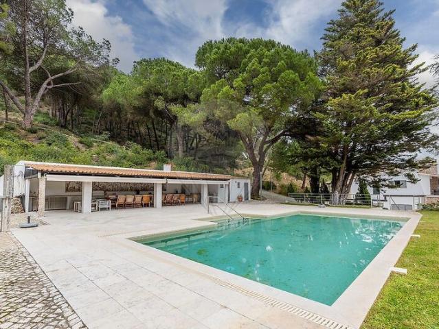 Quinta venda em Setúbal