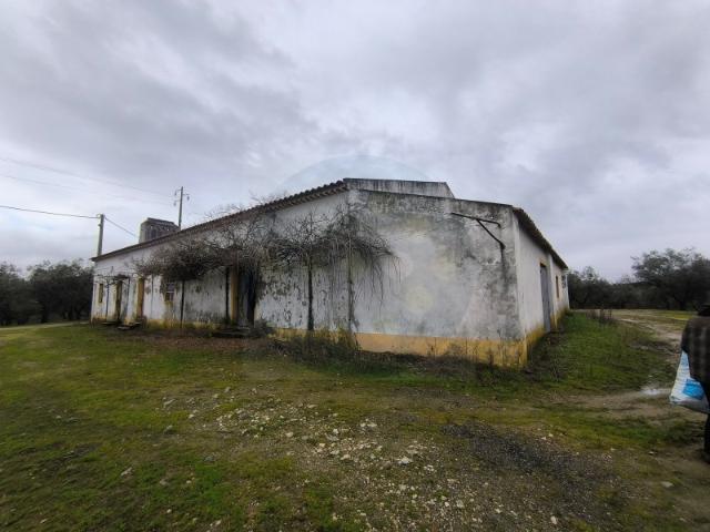 Quinta venda em Sardoal, Santarém