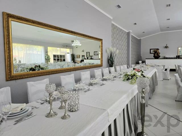 Quinta venda em Castelo Branco