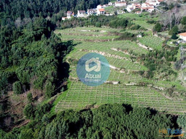 Quinta venda em Marecos, Porto