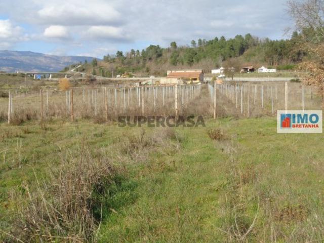 Casa venda em Castelo Branco, Aldeia Nova Do Cabo