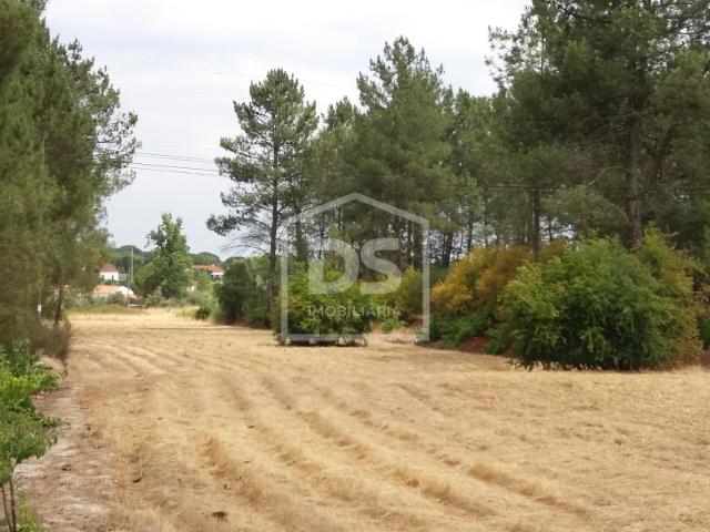 Quinta venda em Valverde, Coruche