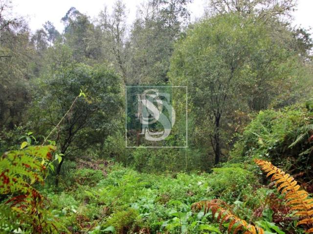 Quinta venda em Ferreira, Viana Do Castelo