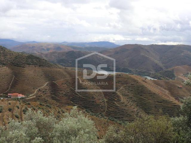 Quinta venda em Torre De Moncorvo, Bragança