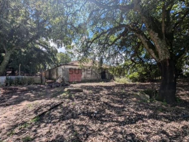 Casa venda em Tapada da Ladeira, Pedrógão Grande