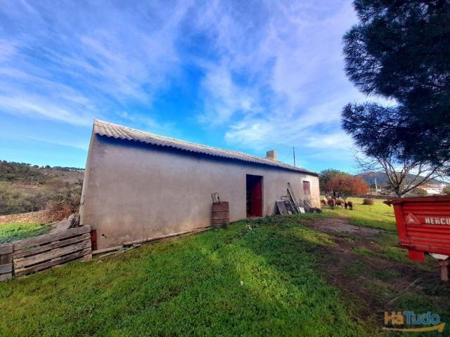 Quinta venda em Castelo Branco, Idanha-a-nova