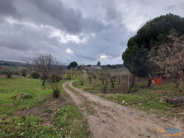 Quinta venda em Castelo Branco