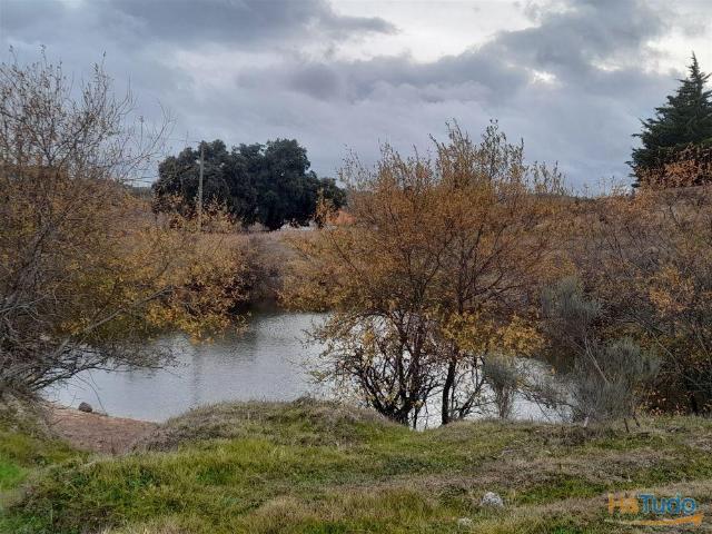 Quinta venda em Castelo Branco