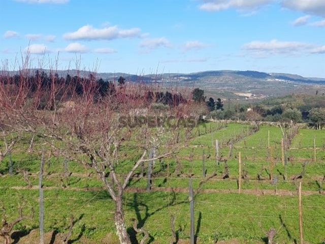 Casa venda em Guarda, São Julião