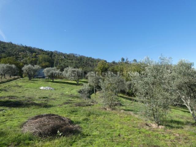 Casa venda em Guarda, Seia