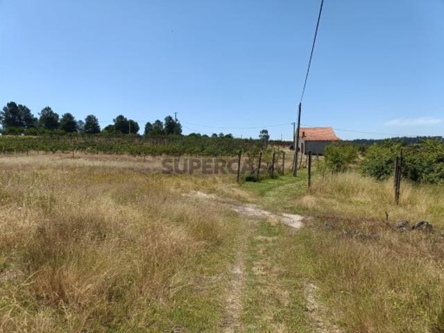 Casa venda em Guarda, Seia