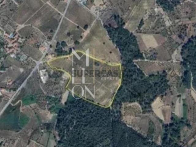 Terreno venda em Carvalhal Redondo e Aguieira, Nelas