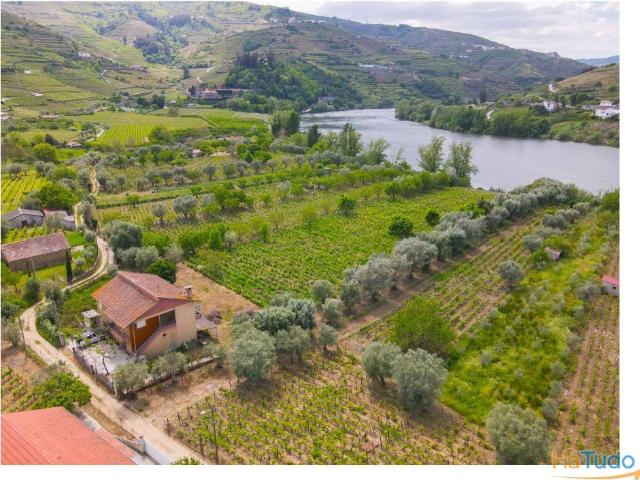 Terreno venda em Lamego, Viseu
