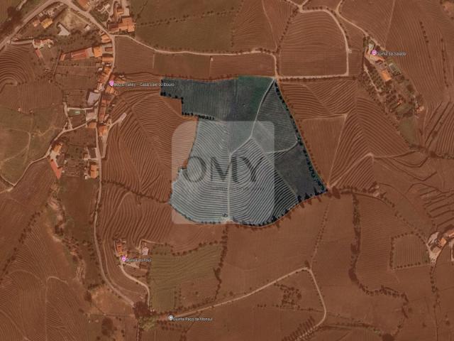 Quinta venda em Quintião, Lamego