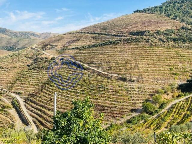 Quinta venda em Nagoselo Do Douro, Viseu