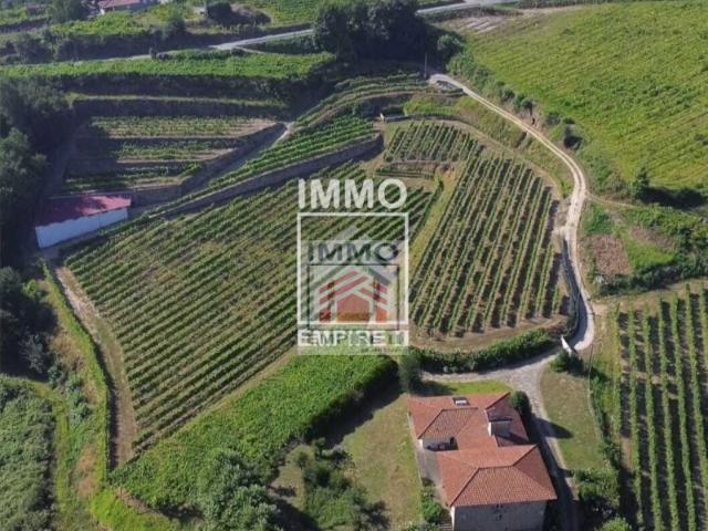 Quinta venda em Felgueiras, Idães