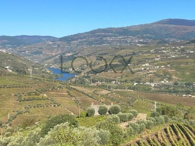 Vivenda venda em Quintião, Lamego