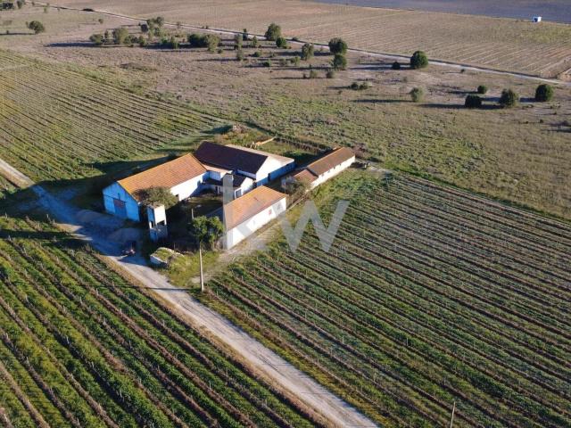 Vivenda venda em Palmela, Setúbal
