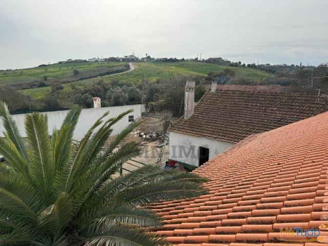 Quinta venda em Santarém