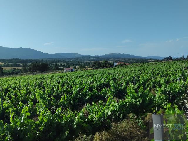 Quinta venda em Covilhã, Castelo Branco