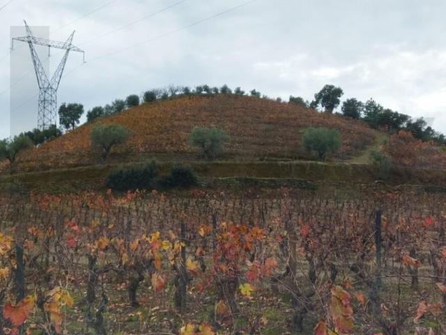 Terreno venda em Guarda, Trancoso