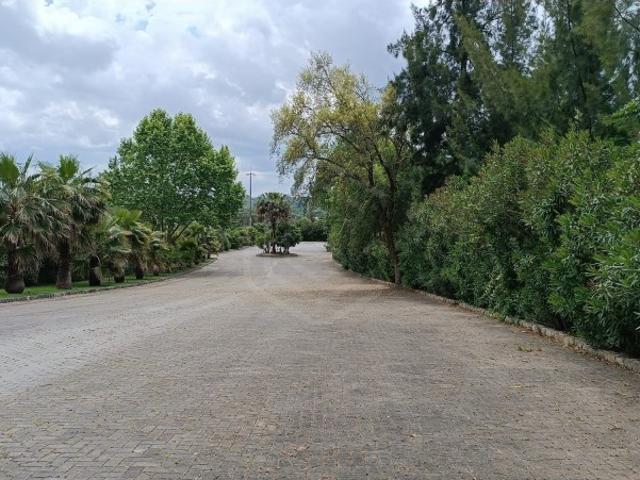 Commercial Land venda em Abrantes