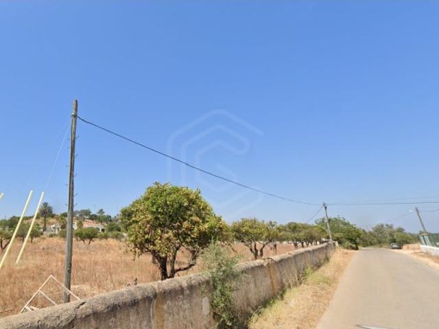 Terreno venda em Fontes da Matosa, Alcantarilha