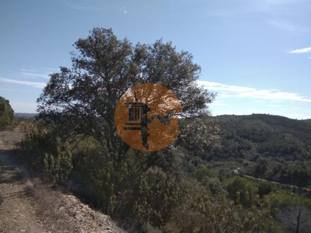 Solar venda em Loulé, Faro