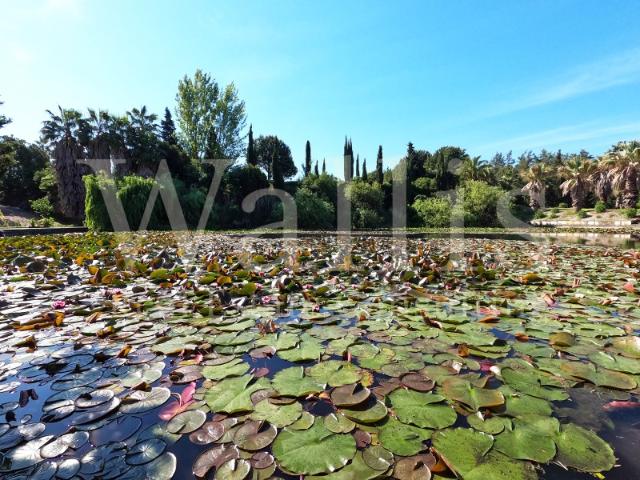 Solar venda em Torcatas, Almada