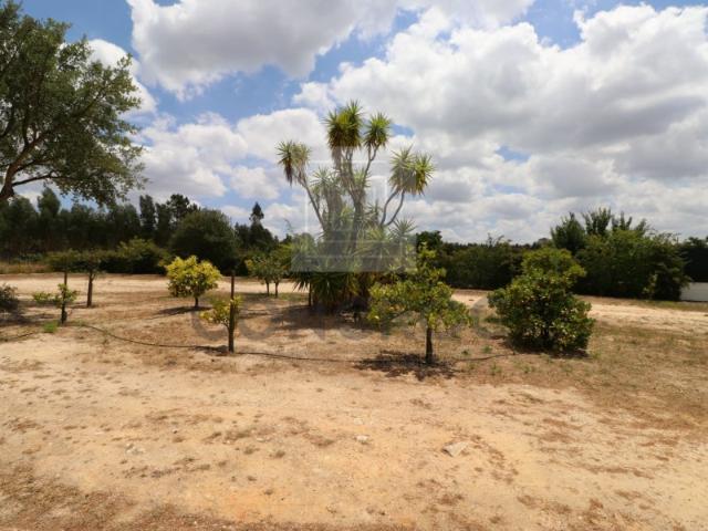 Solar venda em Fazenda dos Pelados, Coruche