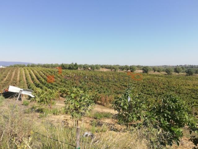 Commercial Land venda em Torres Novas