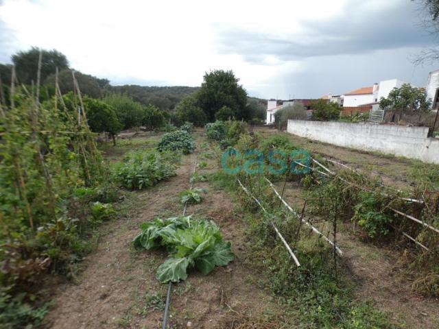 Commercial Land venda em Montemor-o-novo, Ciborro