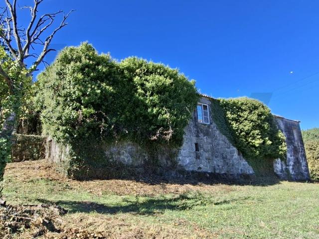 Quinta venda em Tarouquela, Viseu