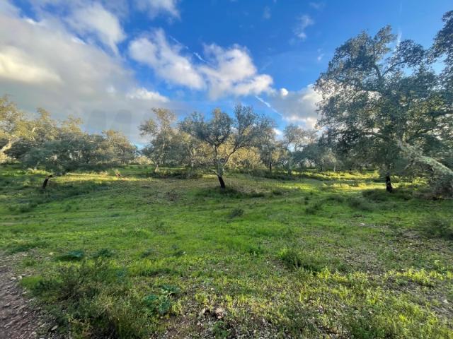 Solar venda em Ourique, Beja