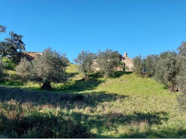 Commercial Land venda em Grândola, Bairro Novo dos Cadoços