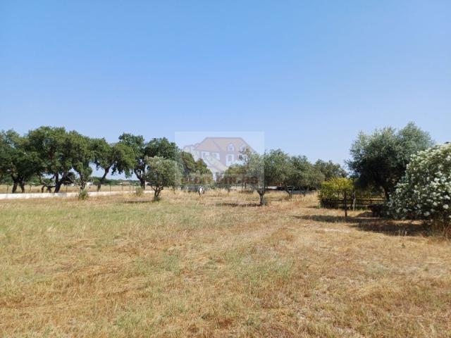 Commercial Land venda em Grândola
