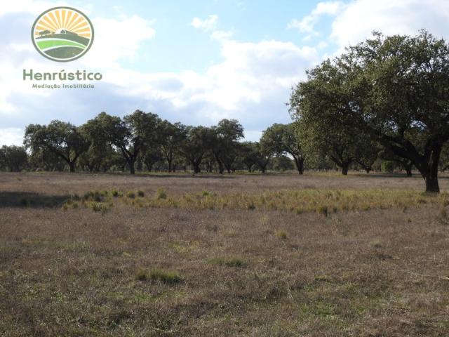 Commercial Land venda em Grândola, Bairro Novo dos Cadoços