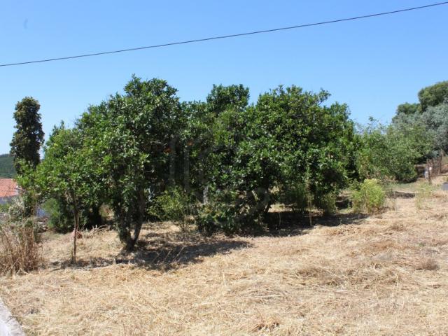 Solar venda em Monchique, Faro