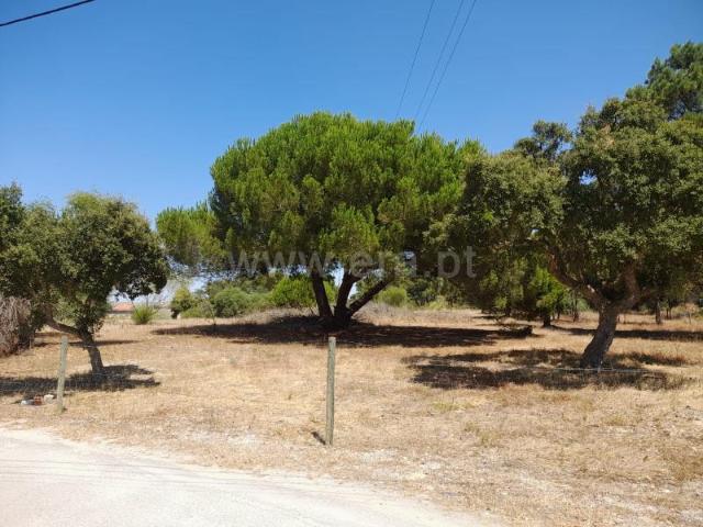 Solar venda em Palmela, Setúbal