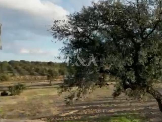 Solar venda em Bairro Plano, Aljustrel