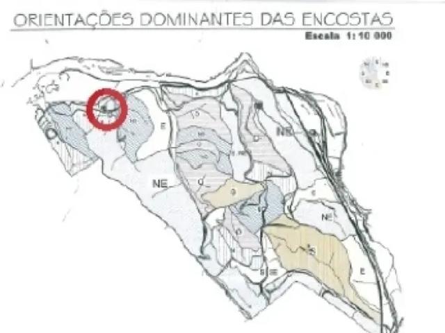 Solar venda em São Bartolomeu De Messines, Faro