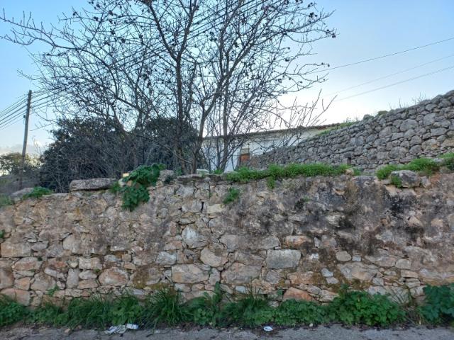 Commercial Land venda em São Brás De Alportel, Poço dos Ferreiros